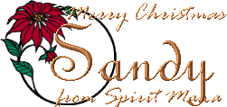 Merry Christmas Sandy of SandysHaven