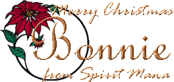 Merry Christmas Bonnie of Wee Weenie Kennel